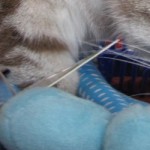 entete miaoubox