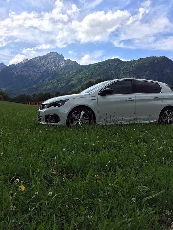 peugeot 308 gt line champs erika